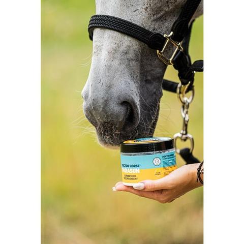 Krem przeciwsłoneczny Doctor Horse ParaSun