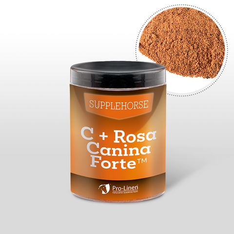 Witamina C i dzika róża Pro-linen