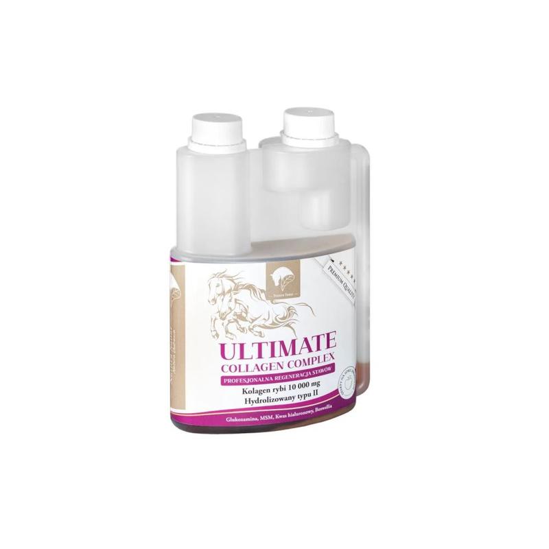 Kolagen rybi typu II Natura Sanat Ultimate