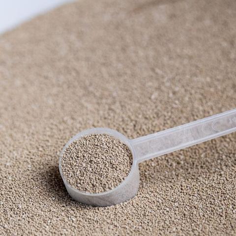 Calcium Sorbinum – wapno z alg morskich St.Hippolyt