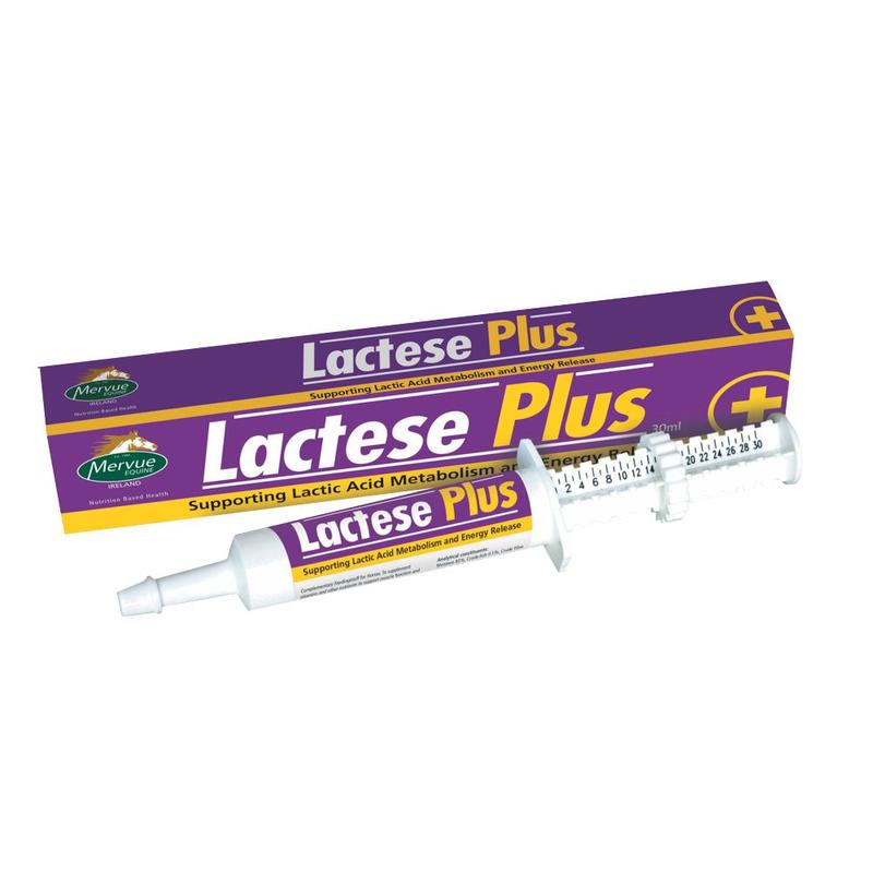 Lactese Plus Mervue Equine - Preparat wspomagający metabolizm kwasu mlekowego u koni