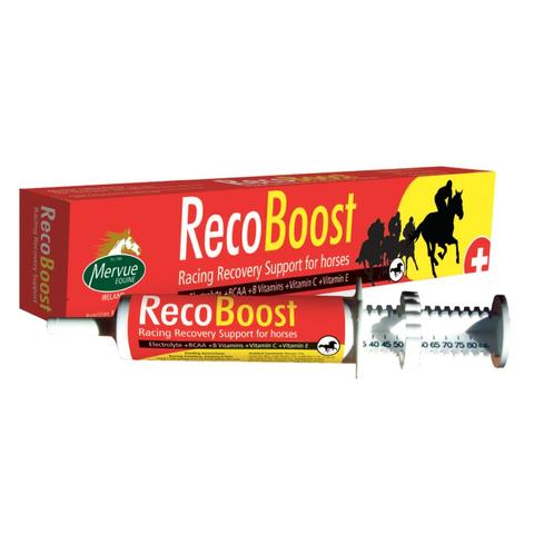 Recoboost Mervue Equine - Elektrolity, aminokwasy, kompleks witamin dla koni