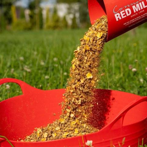 Pasza Red Mills 10% Cool 'N'