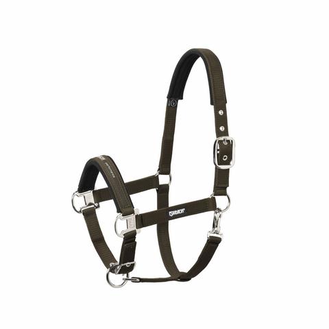 Kantar Eskadron Pin Buckle Basics Dark Brown, brązowy