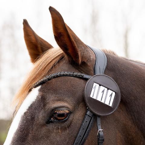 Numery startowe QHP Modeste round brązowy