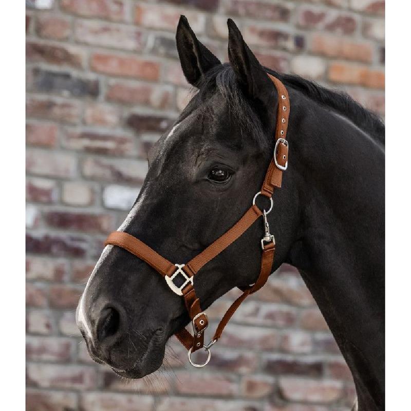Kantar Waldhausen Satin oliwkowy