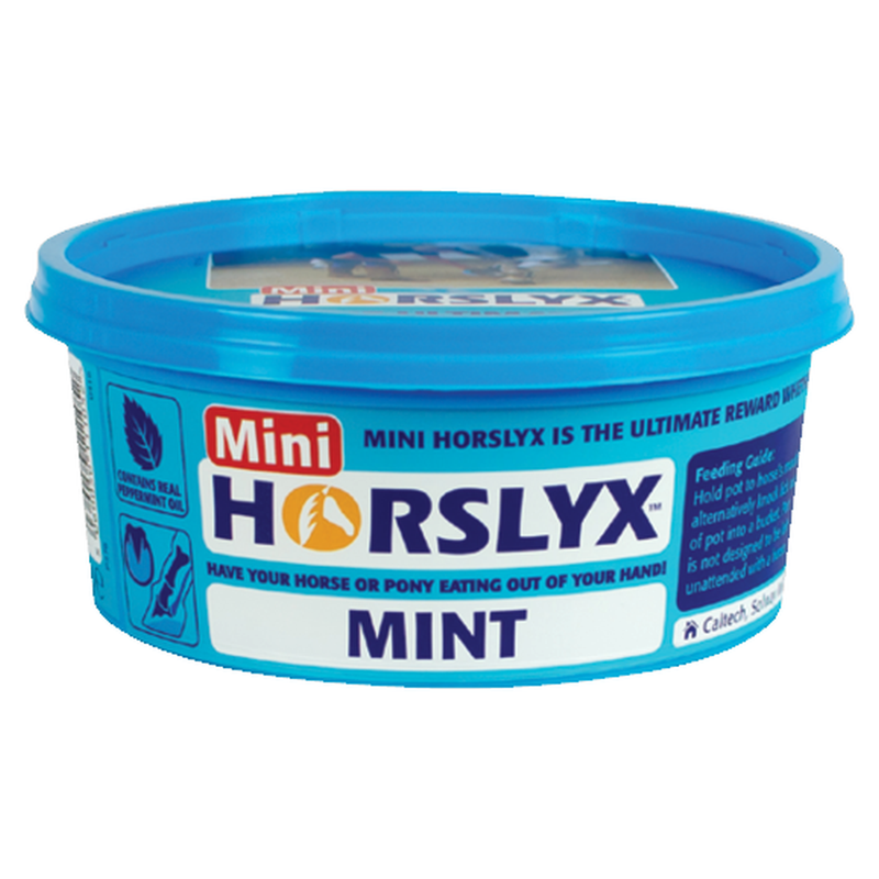 Lizawka Horslyx Mint