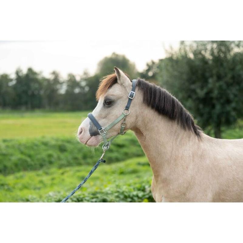 Kantar HKM Barnie zielony