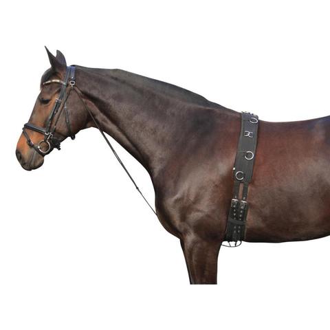 Czambon York kompletny