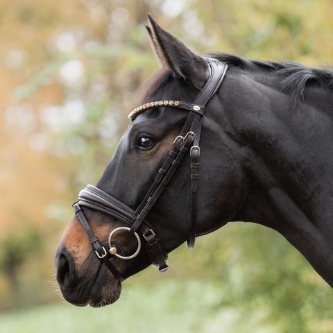 Ogłowie Kavalkade Zora brązowe