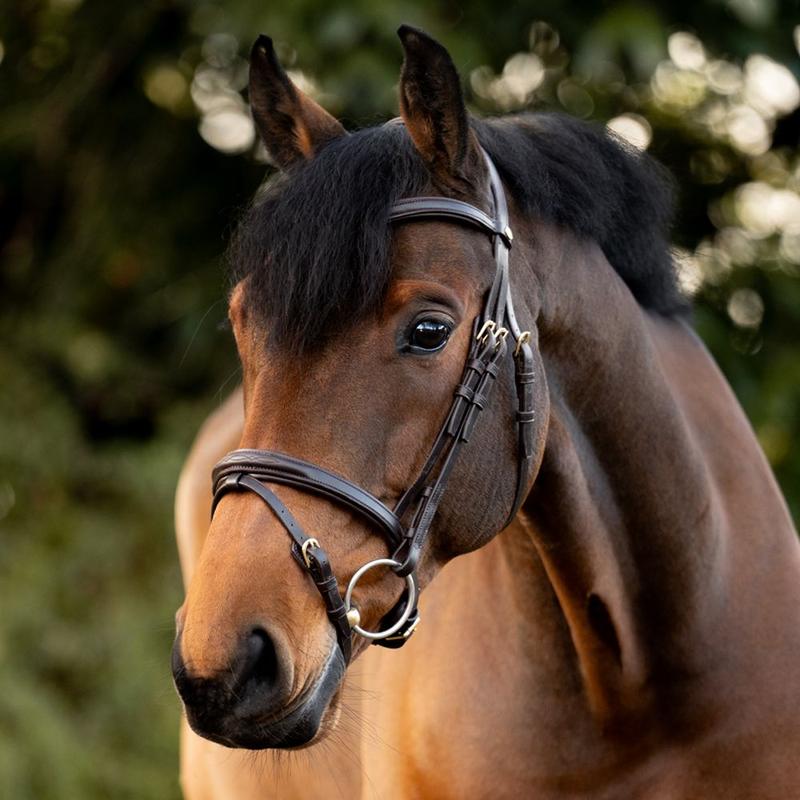 Ogłowie Kavalkade Robin brązowe