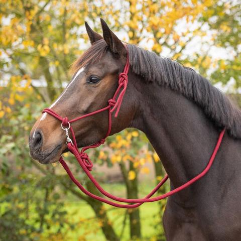 Kantar sznurkowy z wodzami QHP Color burgundowy