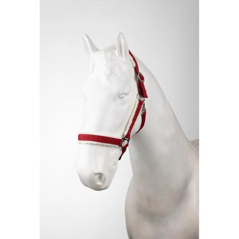 Kantar bożonarodzeniowy Horze