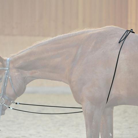 Pomoc do lonżowania Kavalkade czarna