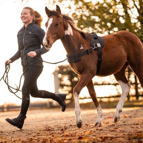 Uprząż z uchwytem do podtrzymywania żrebięcia Kavalkade czarna