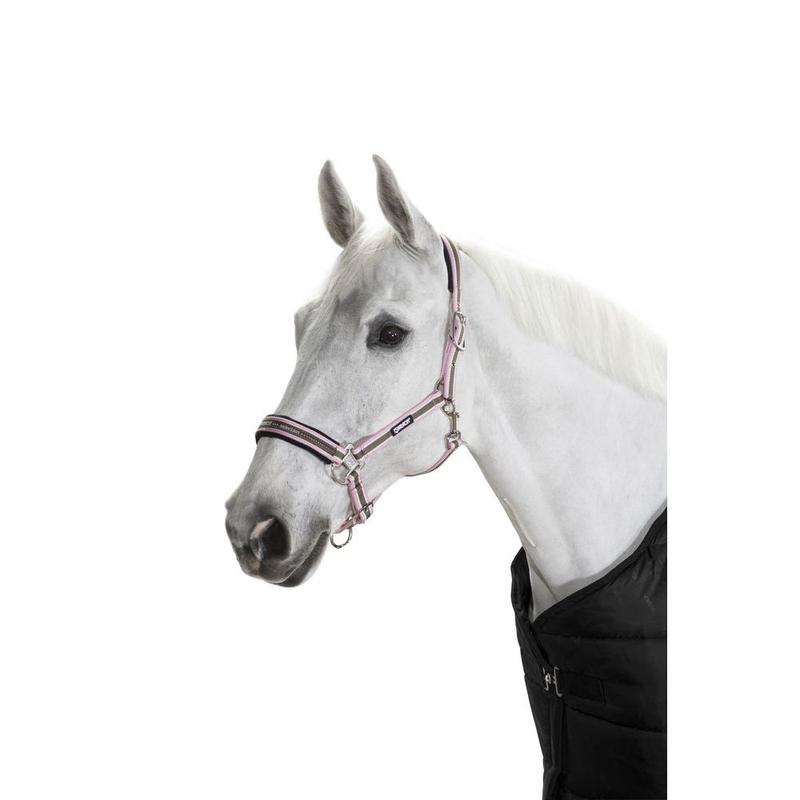 Kantar Eskadron Basics Pin Buckle almon-creme-powderrose, brązowy-beżowy-różowy