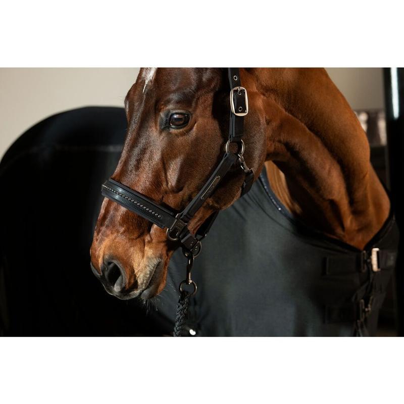 Kantar Eskadron Platinum Softshell Pearls Double Black, czarny 2025