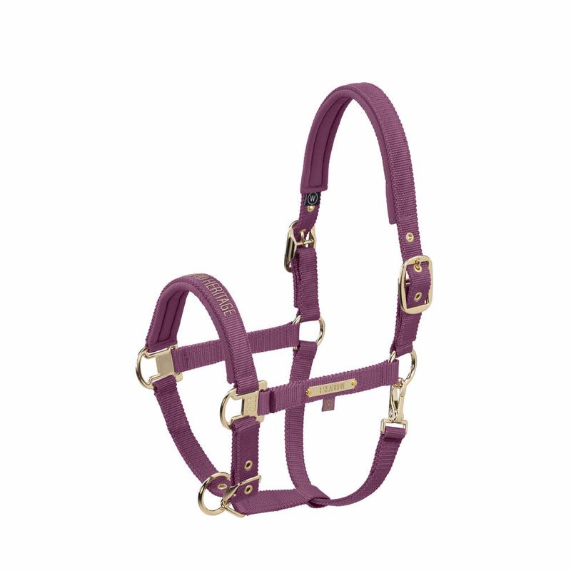 Kantar Eskadron Heritage Girth Double Pin Wildberry, fioletowy 2025/2026