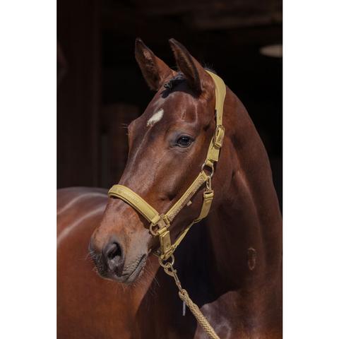 Kantar Eskadron Heritage Faux Leather Double Pin Cardamom, złoty 2025/2026