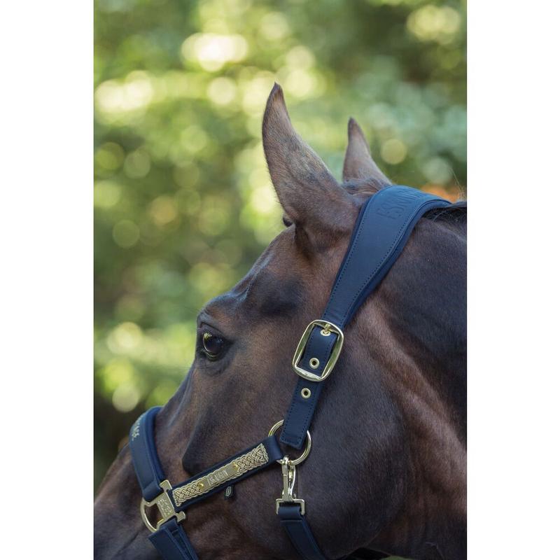 Kantar Eskadron Heritage Faux Leather Double Pin Navy, granatowy 2025/2026