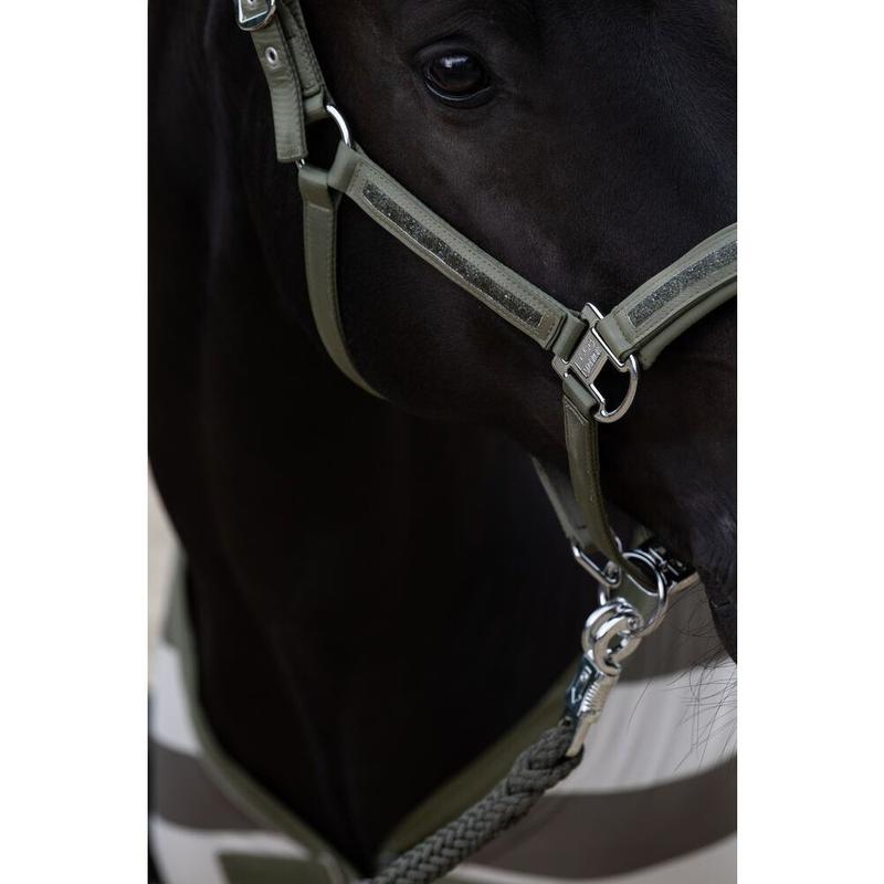 Kantar Eskadron Classic Sports Mattgloss Jewel Double Pi Dusty Olive, oliwkowy 2025