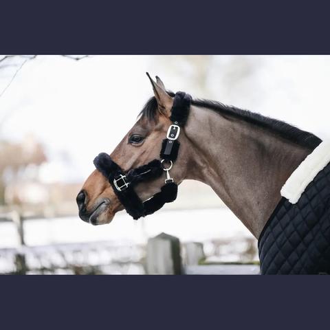 Kantar z futerkiem Kentucky czarny