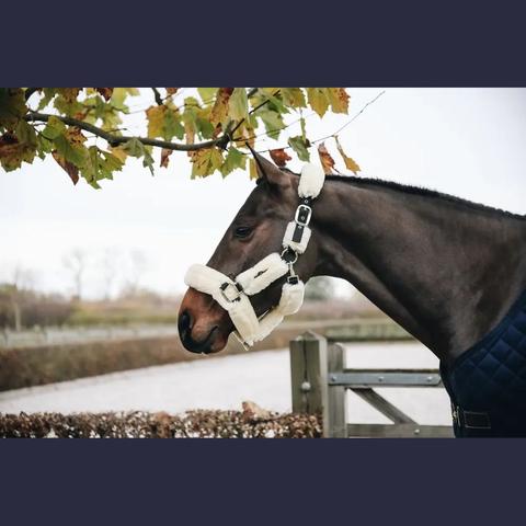 Kantar z futerkiem Kentucky natural