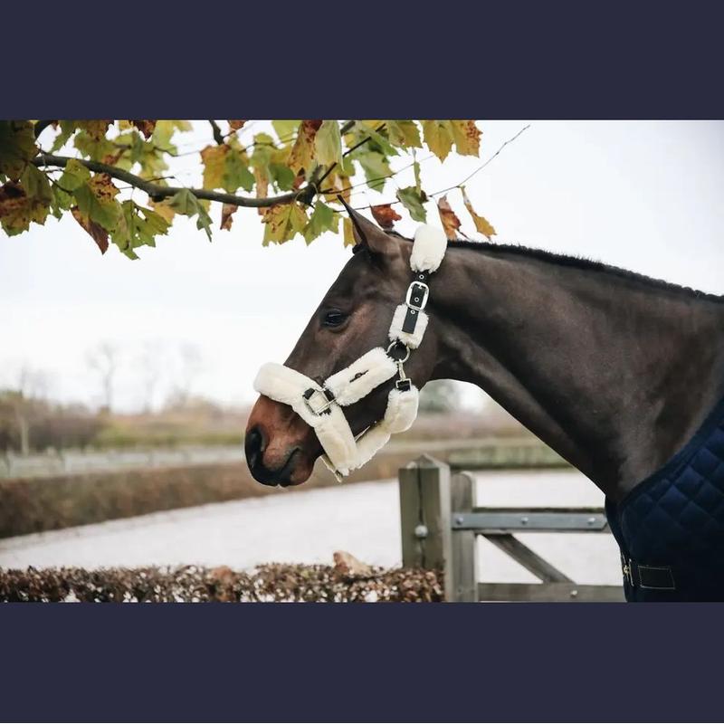 Kantar z futerkiem Kentucky natural