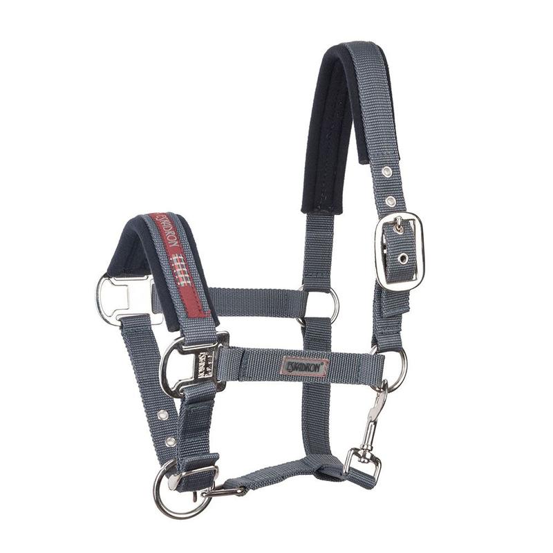 Kantar Eskadron Basics anthra, antracyt