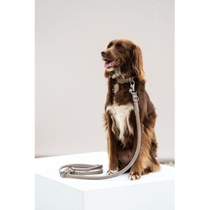 Smycz skórzana z obrożą Eskadron Classic Sports Leather smoke taupe, beżowa 2024