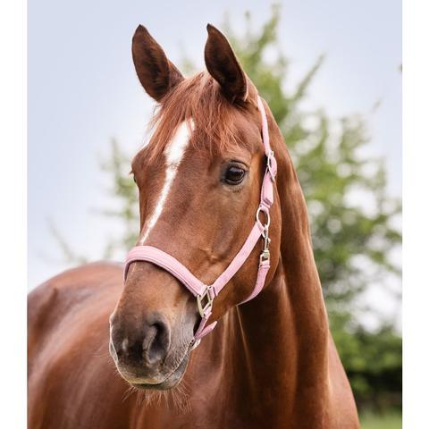 Kantar Waldhausen Satin jasnoróżowy