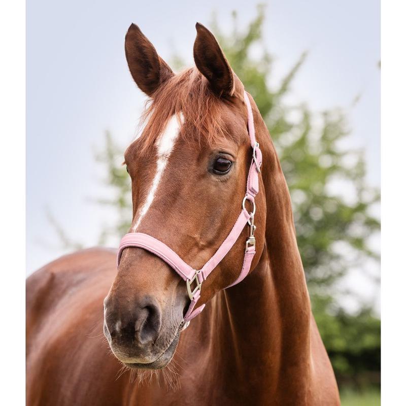 Kantar Waldhausen Satin jasnoróżowy