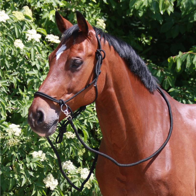 Kantar sznurkowy z wodzami Waldhausen czarny