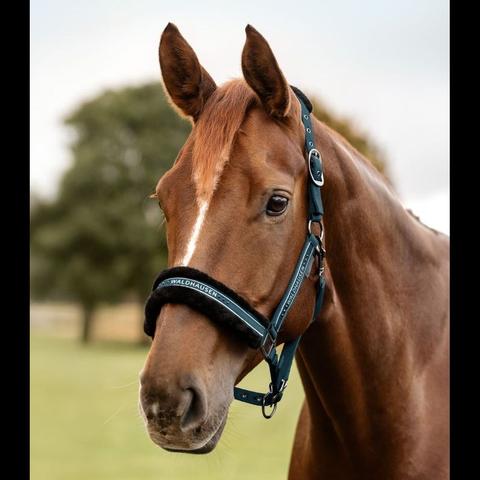 Kantar z futerkiem Waldhausen Elegant petrolowy