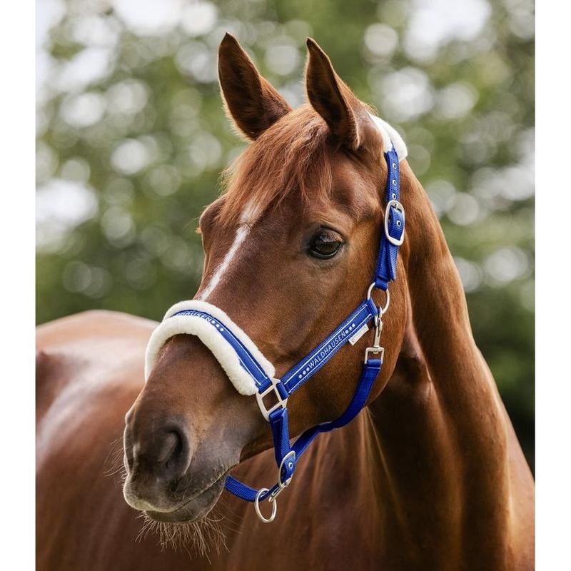 Kantar z futerkiem Waldhausen Elegant niebieski