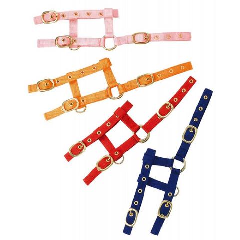 Kantar dla małych źrebiąt Ekkia zwykły niebieski