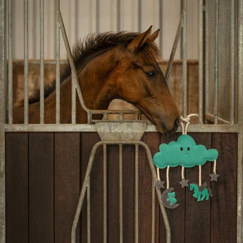 Zabawka dla konia QHP chmurka zielona