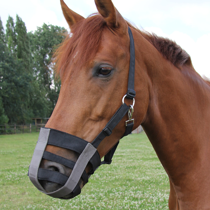 Kaganiec bezpieczny Waldhausen czarny