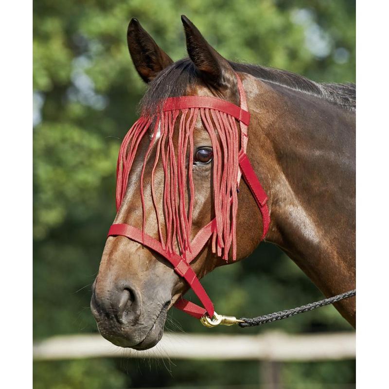 Kantar padokowy bez okuć z frędzlami Busse czerwony