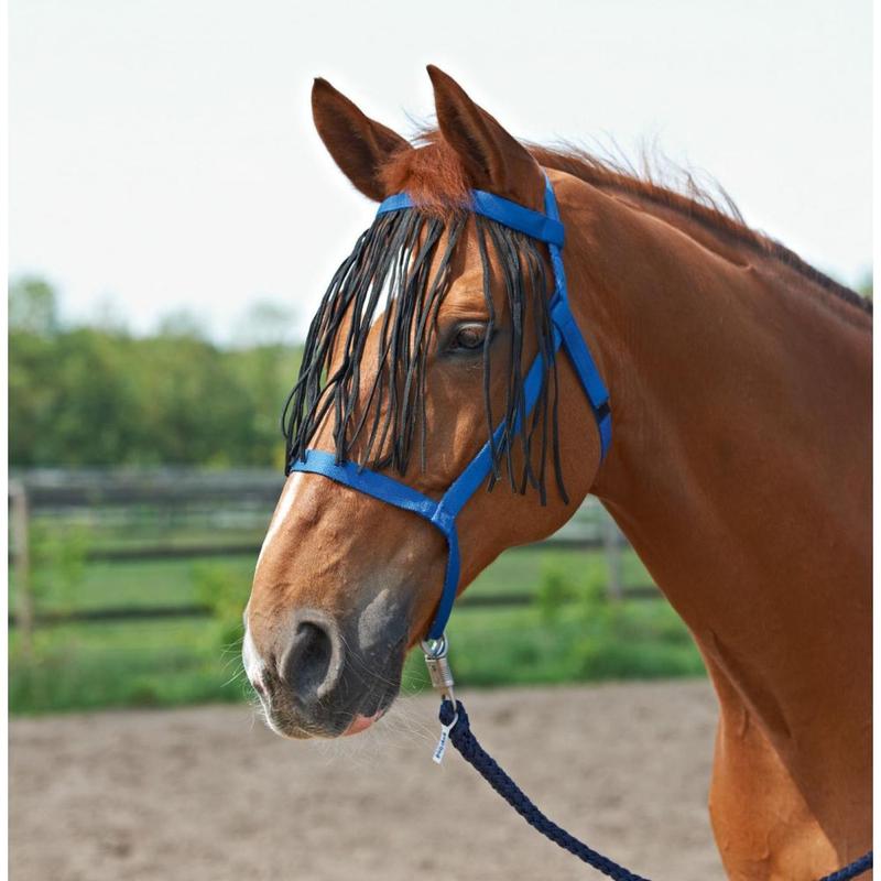 Kantar padokowy bez okuć z frędzlami Busse niebieski