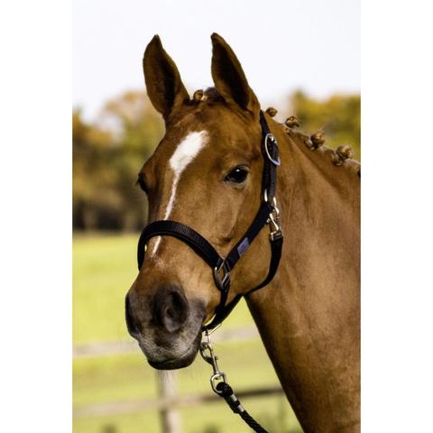 Kantar Busse Solid Soft granatowy