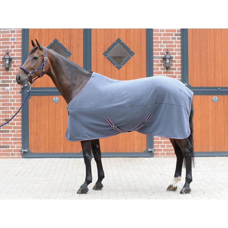 Derka osuszająco-transportowa Busse Excellent szara