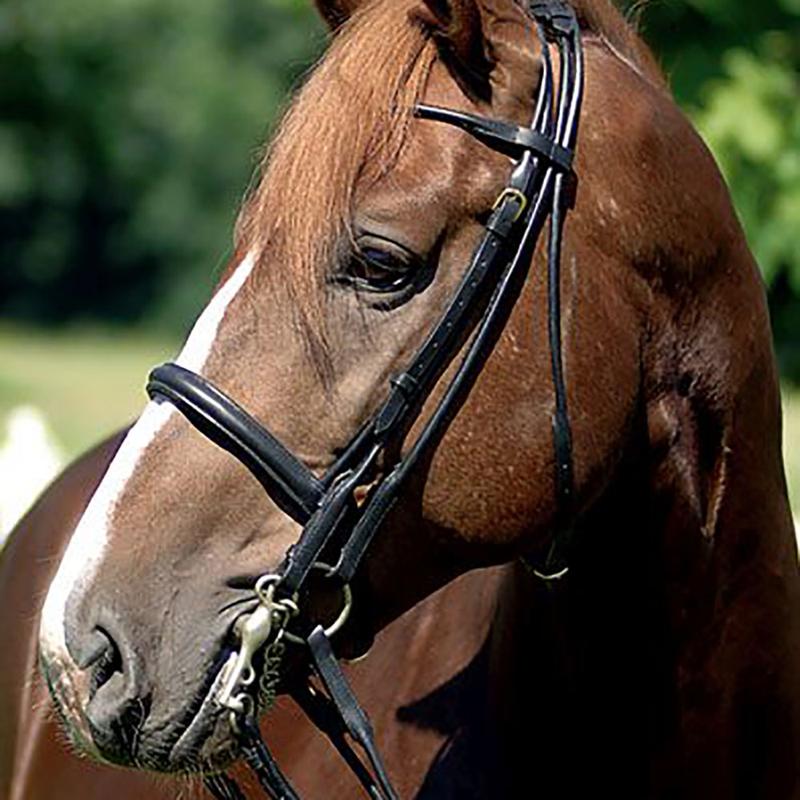 Ogłowie rurkowe munsztukowe HKM czarne