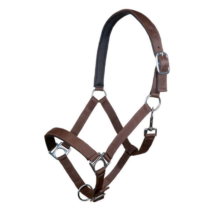 Kantar HKM Stars ciemnobrązowy