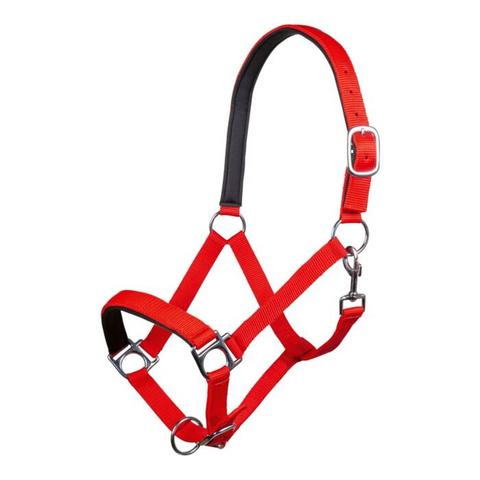 Kantar HKM Stars czerwony