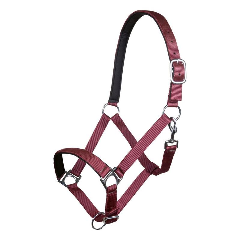 Kantar HKM Stars bordowy