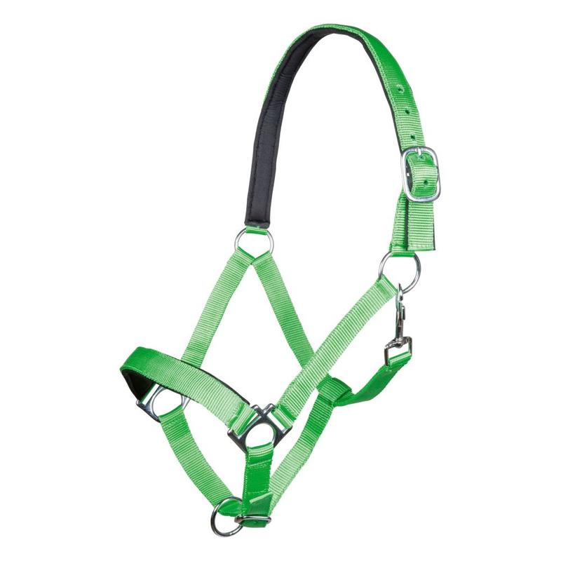 Kantar HKM Stars zielony