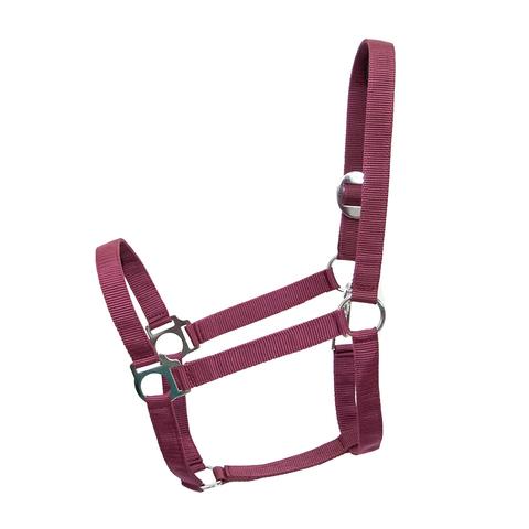 Kantar HKM Stars Economic bordowy