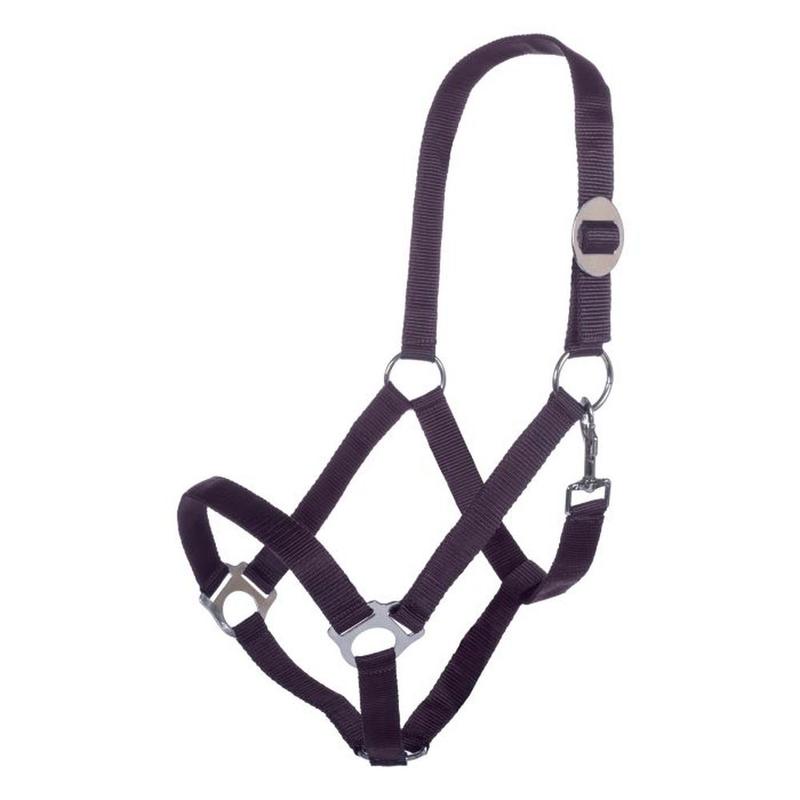 Kantar HKM Stars Economic ciemnofioletowy