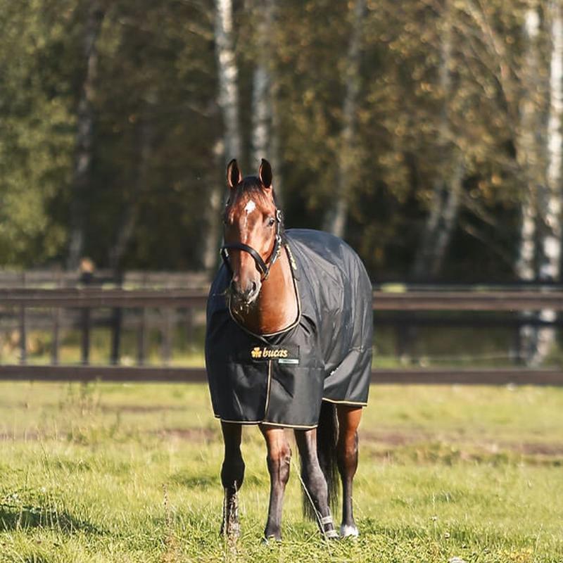 Derka padokowa Bucas 1200D 250g Irish czarna